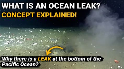 leak in pacific ocean|Oh Dear, Theres a Hole in the Bottom of the Ocean